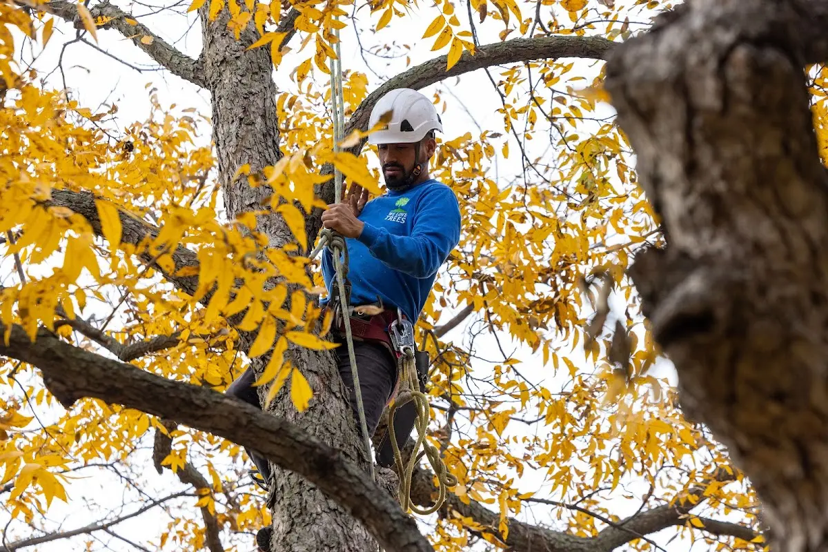 Skilled Storm Damage Cleanup crew working in New Sharon