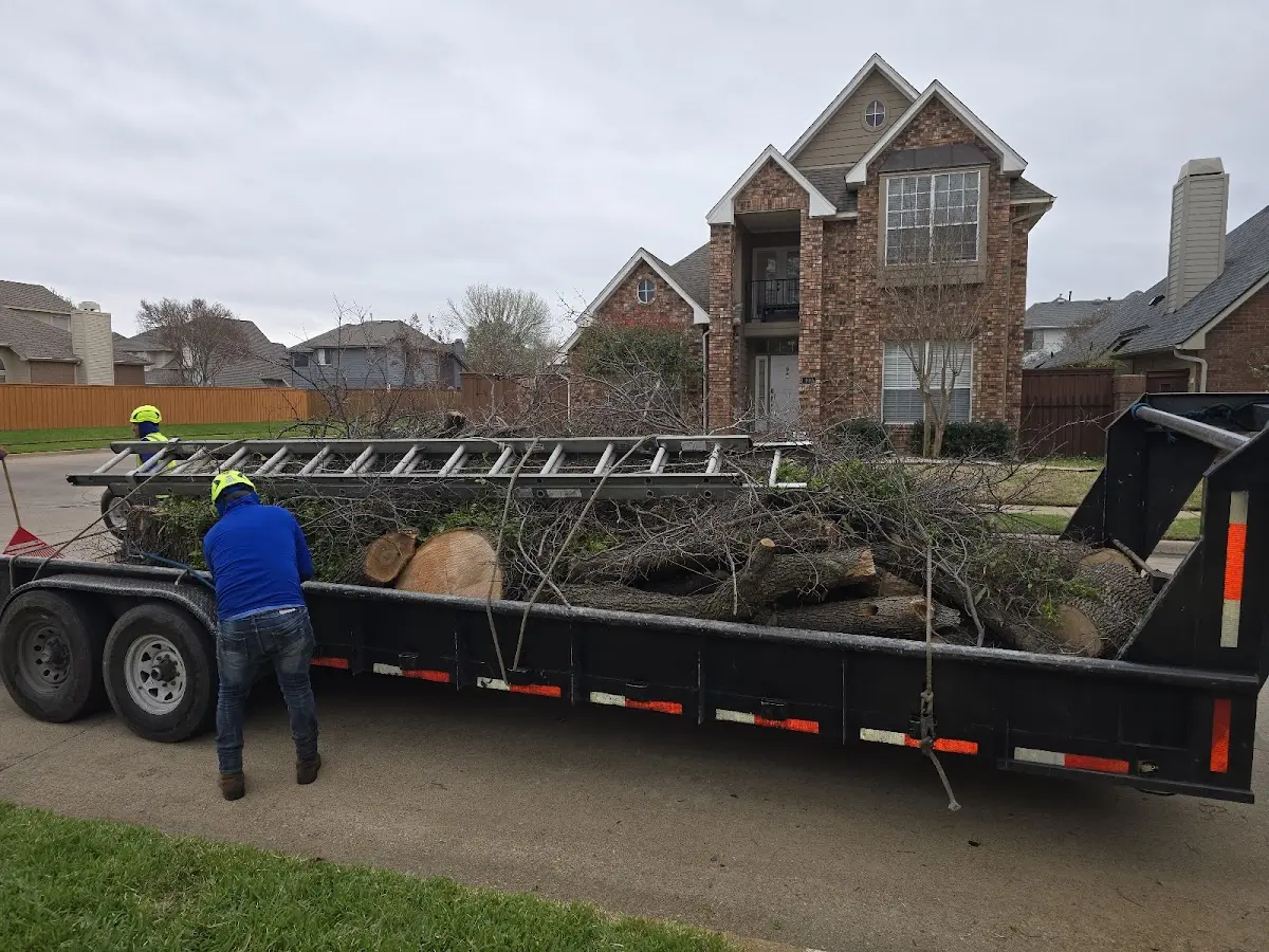Expert Tree Pest Control with proper safety equipment in New Sharon